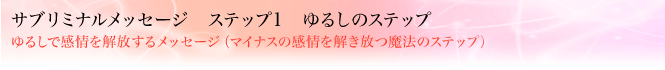 �T�u���~�i�����b�Z�[�W�@�X�e�b�v1�@��邵�̃X�e�b�v ��邵�Ŋ����������郁�b�Z�[�W�i�}�C�i�X�̊�������������@�̃X�e�b�v�j