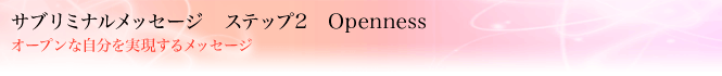 �T�u���~�i�����b�Z�[�W�@�X�e�b�v2�@Openness
�I�[�v���Ȏ������������郁�b�Z�[�W